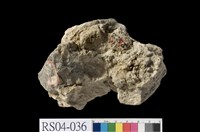 藏品(鈣質礫岩)的圖片